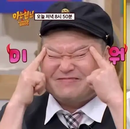 [루프스킨] 푸조 508 / 평택, 안성, 오산 시공 사진