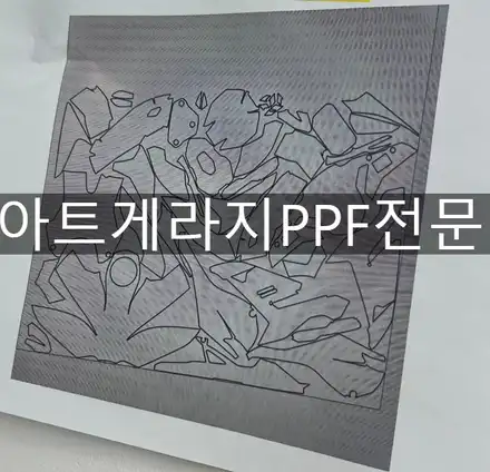이 비싼 카본을 그냥 탄다고? BMW바이크 M1000R 필수 전체PPF / 성남 판교 수정구 시공 사진