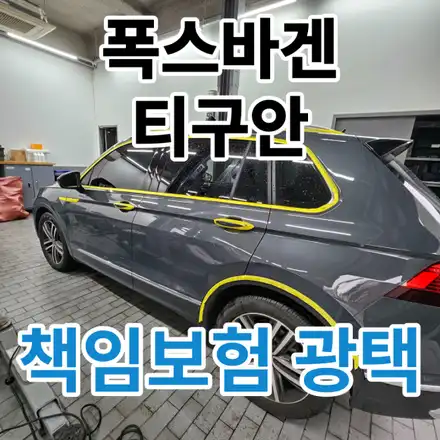 폭스바겐 티구안 : 나무가 떨어지면서 스크레치가 생겼어요.노원 구리 중랑 / 서울 노원구 시공 사진