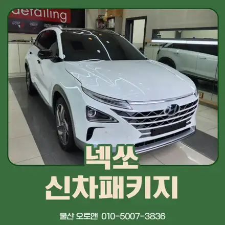 울산 넥쏘 신차패키지 잘하는 곳 추천! / 울산, 포항 시공 사진
