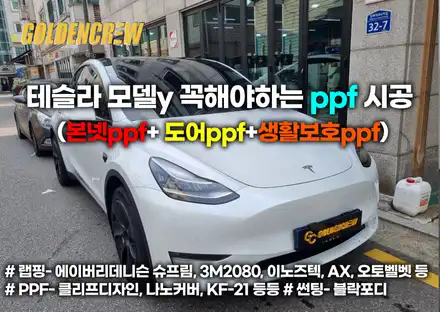 테슬라 모델y 꼭 해야 하는 ppf시공 (본넷ppf+ 도어ppf+생활보호ppf) / 서울 강서구 시공 사진