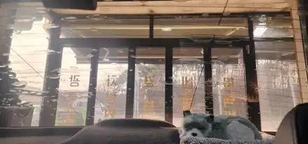 오산 k3 뒤유리기포 제거후 썬팅재시공 오산 동탄 수원 향남 평택 송탄 / 평택 오산 안성 시공 사진