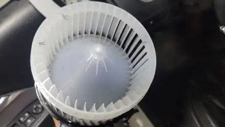 남양주 덕소 에바크리닝 쉐보레 크루즈 자동차 에어컨냄새 히터냄새 제거 청소 별내 강동 하남 / 남양주 구리 하남 시공 사진