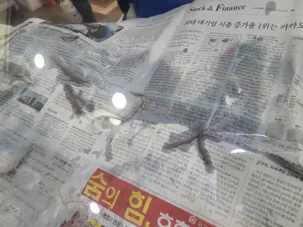 포르테 쿱)영등포 썬팅 재시공- 중고차 구매후 오래되어 색 변한 썬팅지 재시공+블랙박스 교체+ 후방 감지기 장착! 풀시공 했어요~ / 서울 양천, 구로, 강서, 영등포, 부천 시공 사진