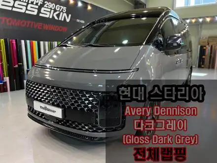 스타리아 투톤 랩핑 \