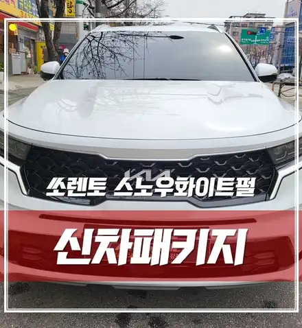 쏘렌토, 루마버텍스1100 + QXD7000 + 방음 + 가죽코팅 신차패키지는 카스페이스 강북점이지! / 서울 광진구, 중곡, 건대 시공 사진