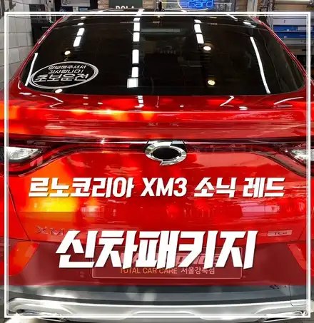 르노 XM3 소닉레드, 첫 차라 막 탈거라면 이정도만 해도 완벽!! / 서울 광진구, 중곡, 건대 시공 사진