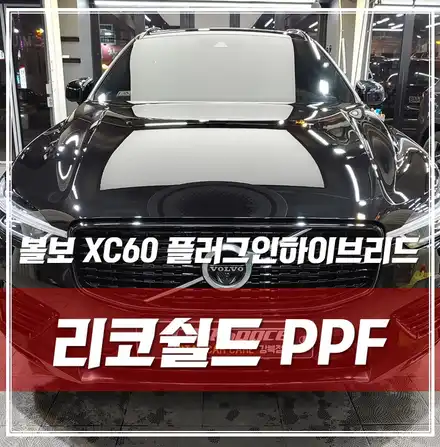 볼보 XC60 플로그인하이브리드, 본넷 PPF로 차량 보호하기! 서울 강북PPF / 서울 광진구, 중곡, 건대 시공 사진
