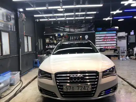 창원광택전문점 아우디A8 흰색도 광난다!!CW디테일링 / 창원,마산,경남 시공 사진