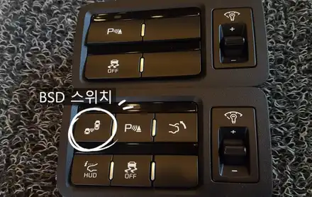 더뉴 K9 후측방 경보시스템 (bsd)  순정 퀀텀 그릴 교체 튜닝! / 대전 서구 시공 사진