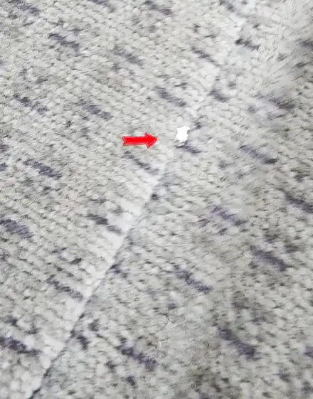 경기도 양주 광사동 시에나 유리조각 보험처리 특수세차 / 양주, 구리, 의정부 시공 사진