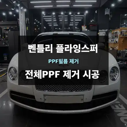 벤틀리 플라잉스퍼 PPF제거 수원PPF / 수원,광교,동탄 시공 사진