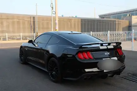 창원랩핑 Ppf 머스탱 GT 좀 더 섹시하게 타기 / 창원 시공 사진