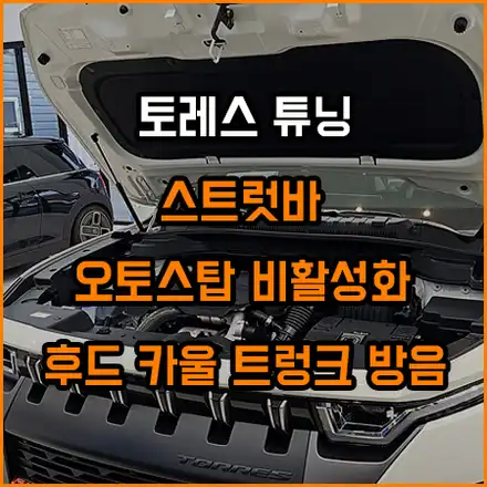 토레스 스트럿바 / 오토스탑 / 필수 방음 / 창원,마산,경남 시공 사진