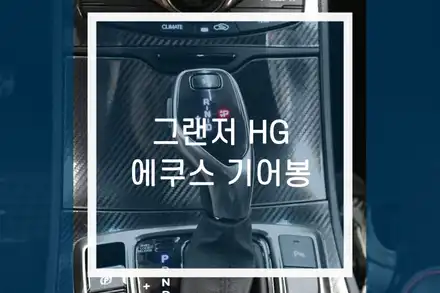 그랜저HG 에쿠스기어봉 / 자동차 전자식기어봉 교체 작업 / 용인,동탄,수원,광교 시공 사진