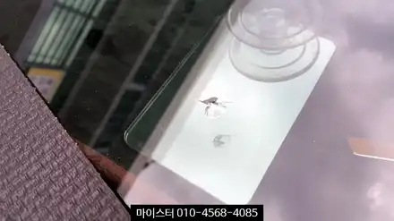 양산, 부산 유리용접 제대로 하는곳! / 부산 해운대 시공 사진