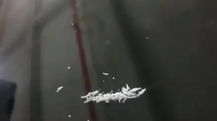 부산 자동차 앞유리복원 돌빵 수리로 유리 교체 비용 아끼는 법 / 부산 해운대 시공 사진