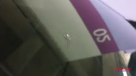부산유리복원 차량 앞 유리 돌빵 수리 전문점! / 부산 해운대 시공 사진