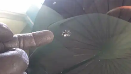 사상구 사하구 자동차 유리복원 출장 유리용접 / 부산 해운대 시공 사진