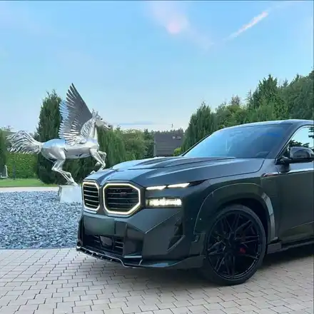 [BMW] 고성능 플래그십 SUV \