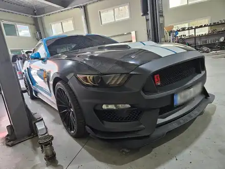 [FORD] 포드 머스탱 6세대 GT350R 한정판 컨버전! 머스탱 완성형 최신 컨버전킷의 끝을 달리다. / 충청 금산 시공 사진