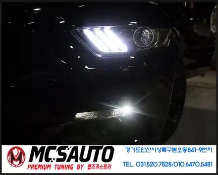 머스탱 데이라이트밝기강화색상튜닝 미등라이트튜닝 / 안산시 상록구 시공 사진