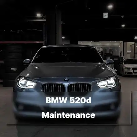 [분당 정비소 모드개러지] BMW 520d 플렉시블 조인트 / 디퍼런셜 부싱, 씰 교환 작업 / 성남시 분당구 서현동 시공 사진