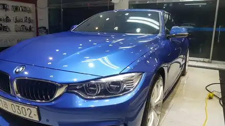 평택,청북 광택 / BMW 428i 컨버터블 타업체에서 포기한 나무수액 제거하기 / 경기 평택 시공 사진