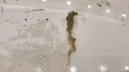 천안 루프스킨 제거  아산 랩핑 제거 K3 변색되고 갈라짐 현상 있어도 제거가 가능해요 / 충남 아산 시공 사진
