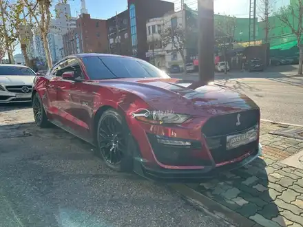 포드 머스탱 루비레드 쉘비 GT500 앞범퍼 바디킷 교체 튜닝 / 서울 양천 시공 사진