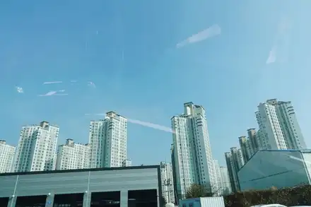 순천 썬팅 신차패키지 끝판왕 모하비 / 순천, 여수, 광양 시공 사진