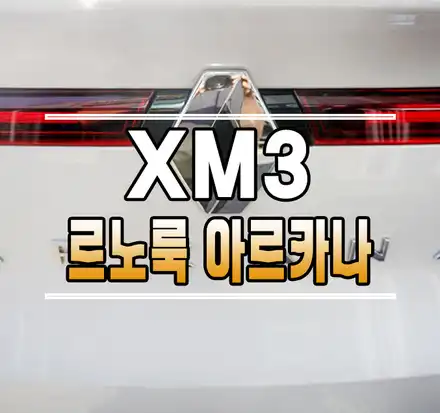 [XM3] 아르카나 르노룩 엠블럼 교체 작업 // 케이엔오토웍스 김포 / 김포,일산,고양 시공 사진