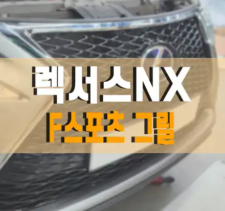[렉서스NX] F스포츠 그릴 교체 작업으로 스포티함 +1 얻기! / 김포,일산,고양 시공 사진