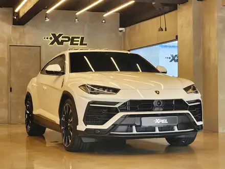 람보르기니 우루스 엑스펠 PPF 스타클럽 강남센터 / 수원, 부천, 부평, 인천 시공 사진