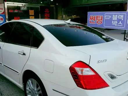 SM7 썬팅 / 경북 구미 시공 사진