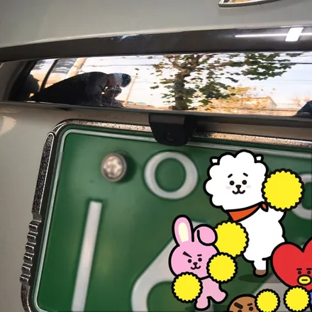 삼성 SM 7 성북구 오로라 GX200T 네비거치 + 후방카메라 로드게이트 RG 7 블랙박스 시공이야기~