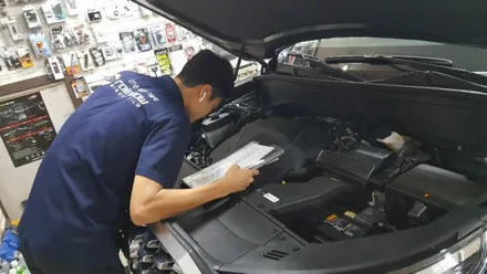동대문구 신설동 신차검수 오로라 신차패키지 2019 펠리세이드 신차검수 및 시공 이야기 :-)