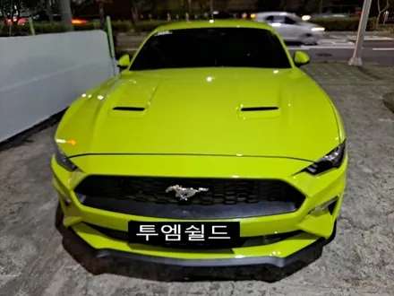 머스탱 쿠페 바이퍼라인 데칼 ppf 부분 랩핑 / 부산 사상구
