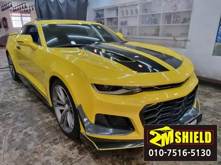 카마로는 루프스킨이 잘 어울리는 차량이죠. 부산 투엠쉴드 / 부산 사상구