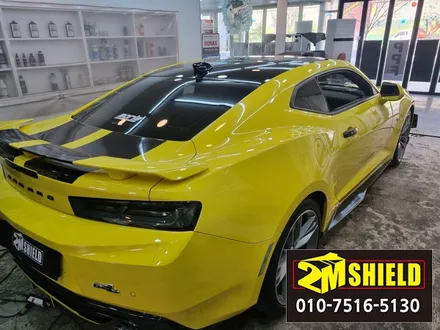 카마로는 루프스킨이 잘 어울리는 차량이죠. 부산 투엠쉴드 / 부산 사상구