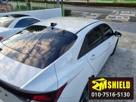 3년된 아반떼 루프스킨 제거 자동세차로 관리 / 부산 사상구