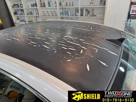 부산루프스킨 제거 작업 그랜저 TG 역대급 손상 / 부산 사상구