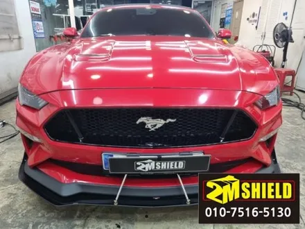 머스탱 전체랩핑 제거 원복 레드에서 화이트로 / 부산 사상구
