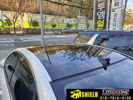 부산루프스킨 제거 작업 그랜저 TG 역대급 손상 / 부산 사상구