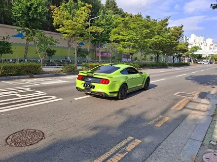 머스탱 쿠페 바이퍼라인 데칼 ppf 부분 랩핑 / 부산 사상구