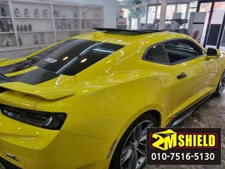 카마로는 루프스킨이 잘 어울리는 차량이죠. 부산 투엠쉴드 / 부산 사상구