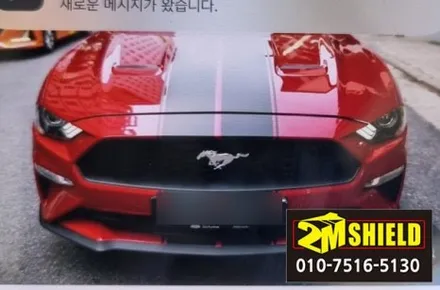 바이퍼라인이 가장 잘어울리는 차는 역시 머스탱입니다. / 부산 사상구