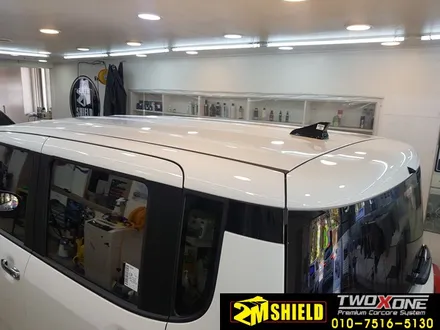 부산 레이 투톤 랩핑 루프스킨 요렇게요 / 부산 사상구