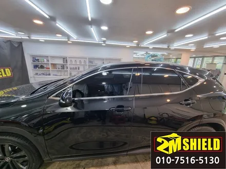 렉서스 NX300H 루프몰딩 윈도우몰딩 크롬죽이기 랩핑 / 부산 사상구