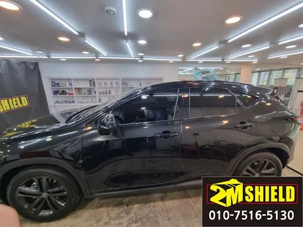 렉서스 NX300H 루프몰딩 윈도우몰딩 크롬죽이기 랩핑 / 부산 사상구